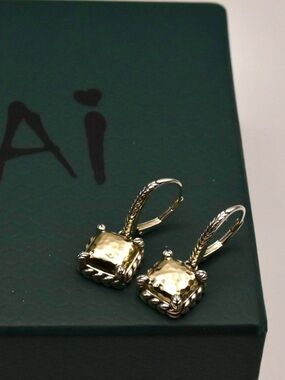 JAI Hammered Drop Earrings